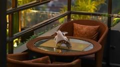 Two chairs facing each other on a terrace with warm lights besides it on a late evening.