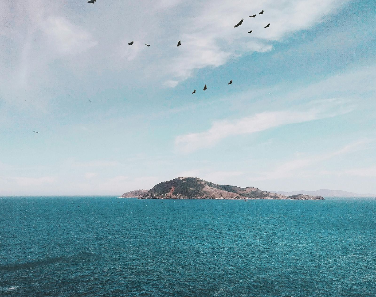 Clear turquoise sea with a distant island and a flock of birds flying overhead.