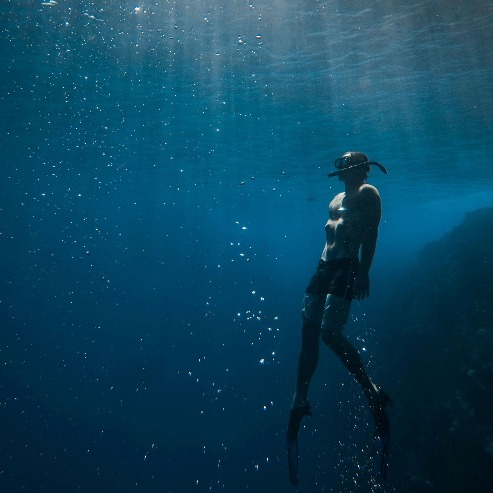 Scuba diving under the ocean