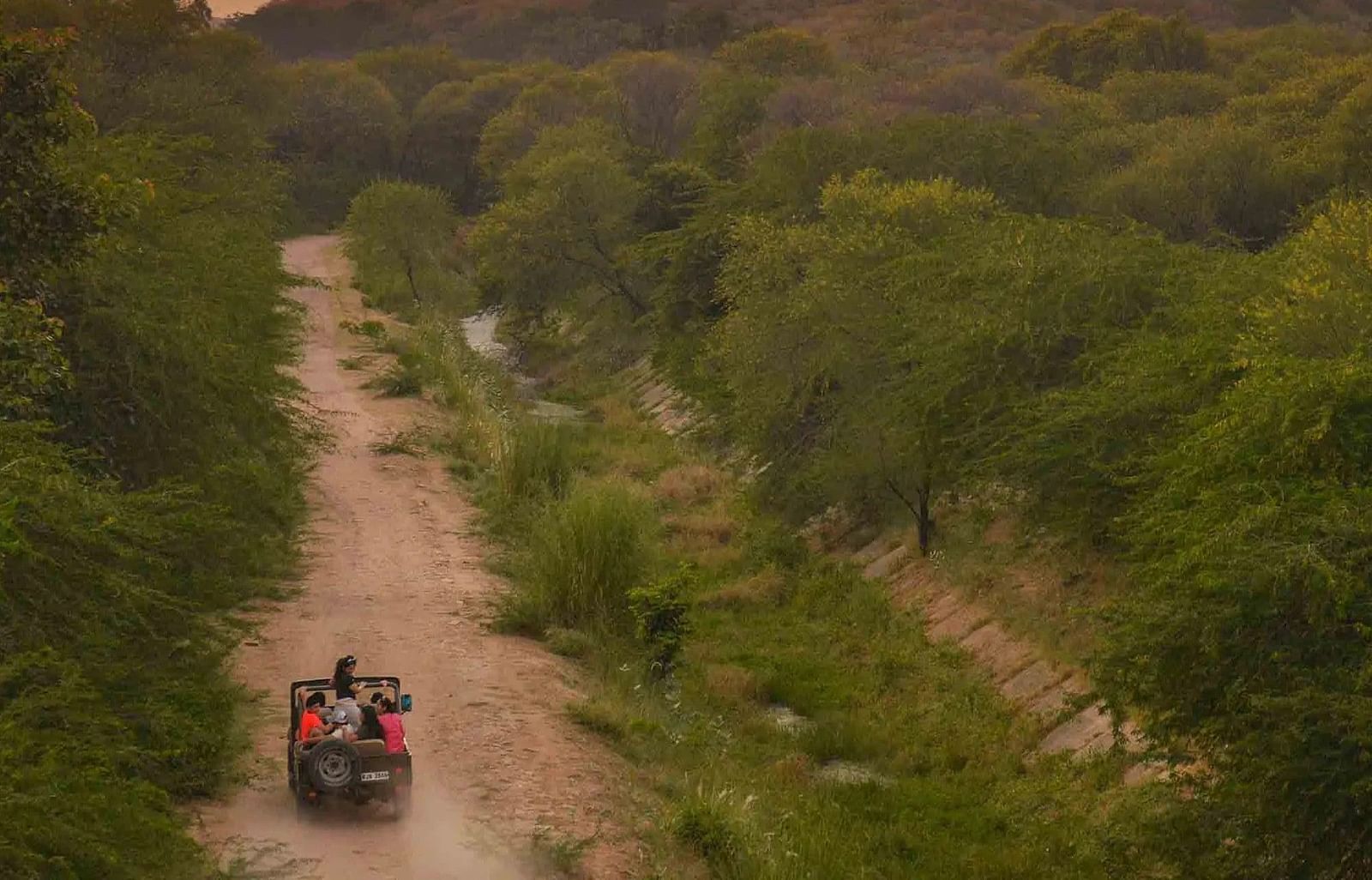 Picture of Jeep Safari captured in the day time.