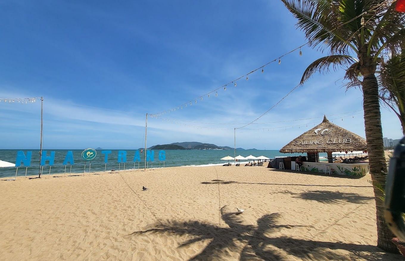 A sandy beach with a thatched hut, palm trees, and the ocean under a bright sky.