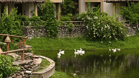 Pond surrounded by lush greenery and traditional cottages at Vedic Village Spa Resort.