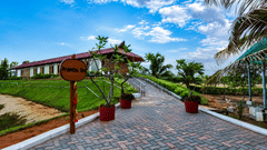 Pathway leading to the spa area lined with palm trees and decorative pots at Chariot Beach Resort, offering a serene and inviting approach.