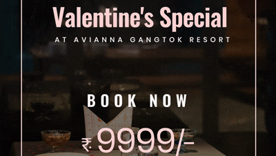 Valentines offer banner at Avianna Gangtok Resort and Spa that says Book Now at Rs 9999