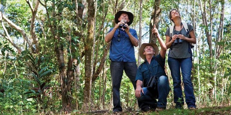 Three people in the forest with binoculars watching exotic birds.