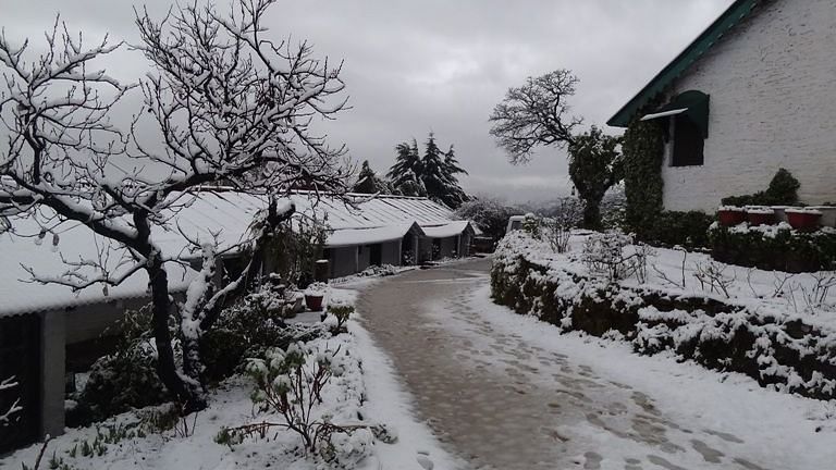 Exterior view of The Old Bungalow and a pathway covered with snow - Ramgarh Bungalows, Nainital.