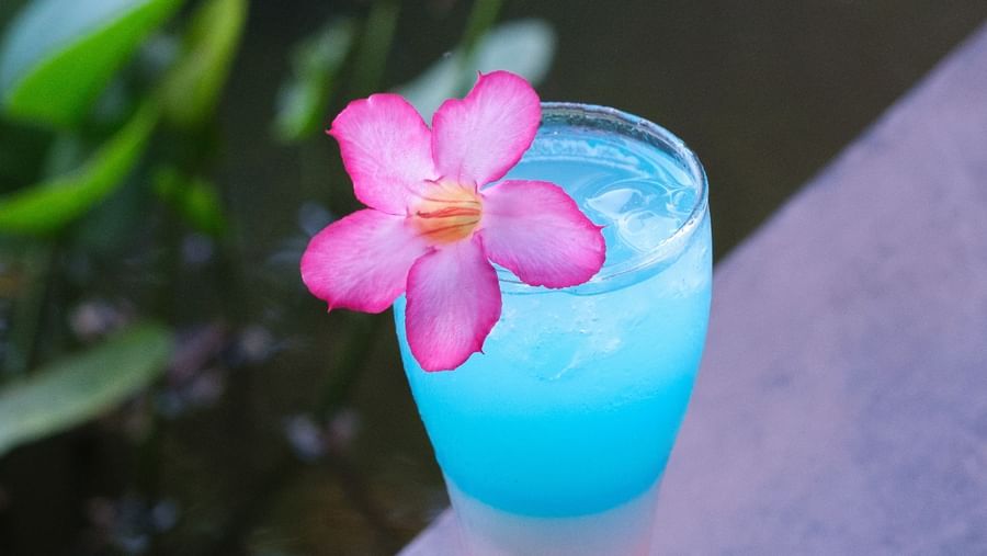 An image of a cocktail with flower decoration | Mango Hill, Pondicherry