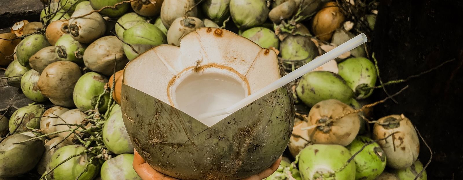 a person holding a coconut