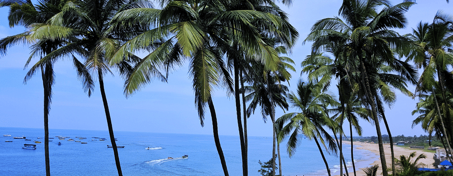 Caravela Beach Resort - view of a beach with coconut trees outlining it