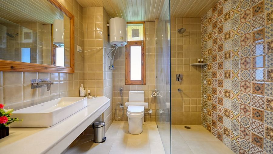 Well lit washroom with a shower cubicle and vanity - Clarks Inn Suites, Manali