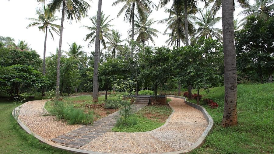A winding path through a garden with palm trees, outdoor setting - Shreyas Retreat