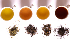 Central Hotels  Tea in different grade of fermentation