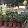 Hotel Meghniwas, Jaipur Jaipur Garden Area Facade Hotel Meghniwas Jaipur Hotels in Jaipur 2