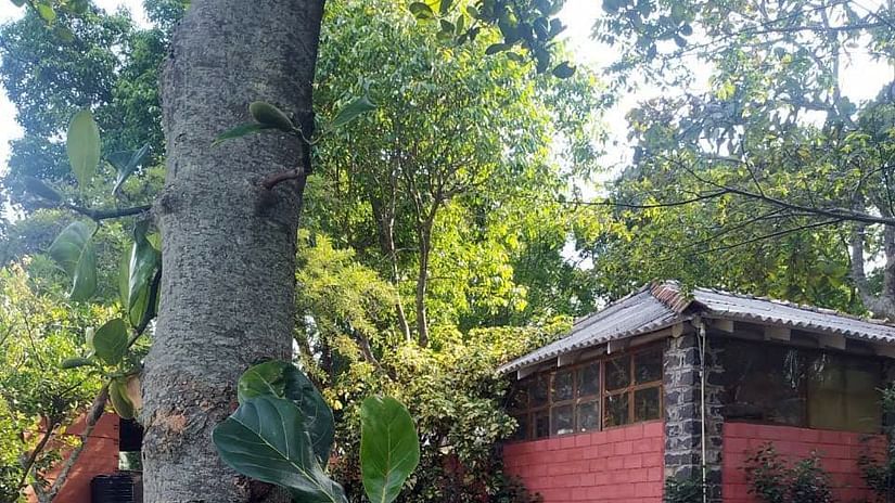 Let s Camp Yercaud Hall