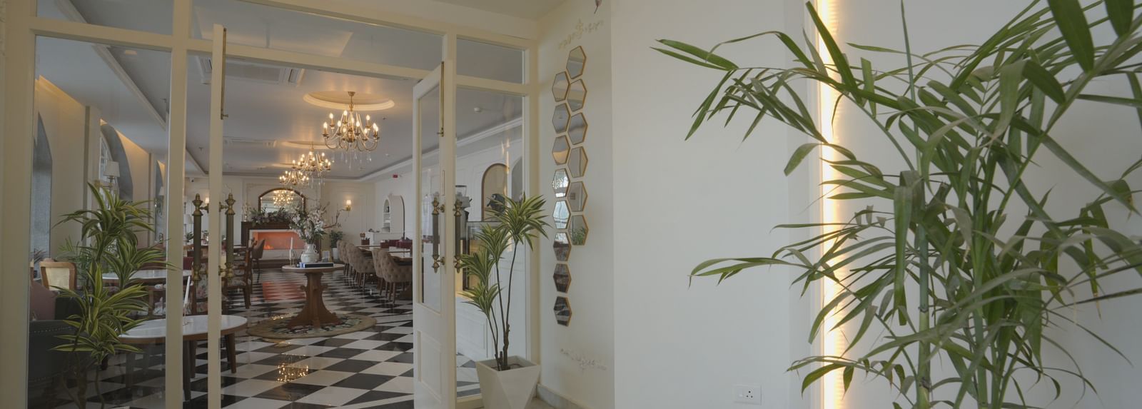 Glass entrance adorned with indoor plants and ambient ceiling lighting - Mayfair Cafe & Suites, Dalhousie