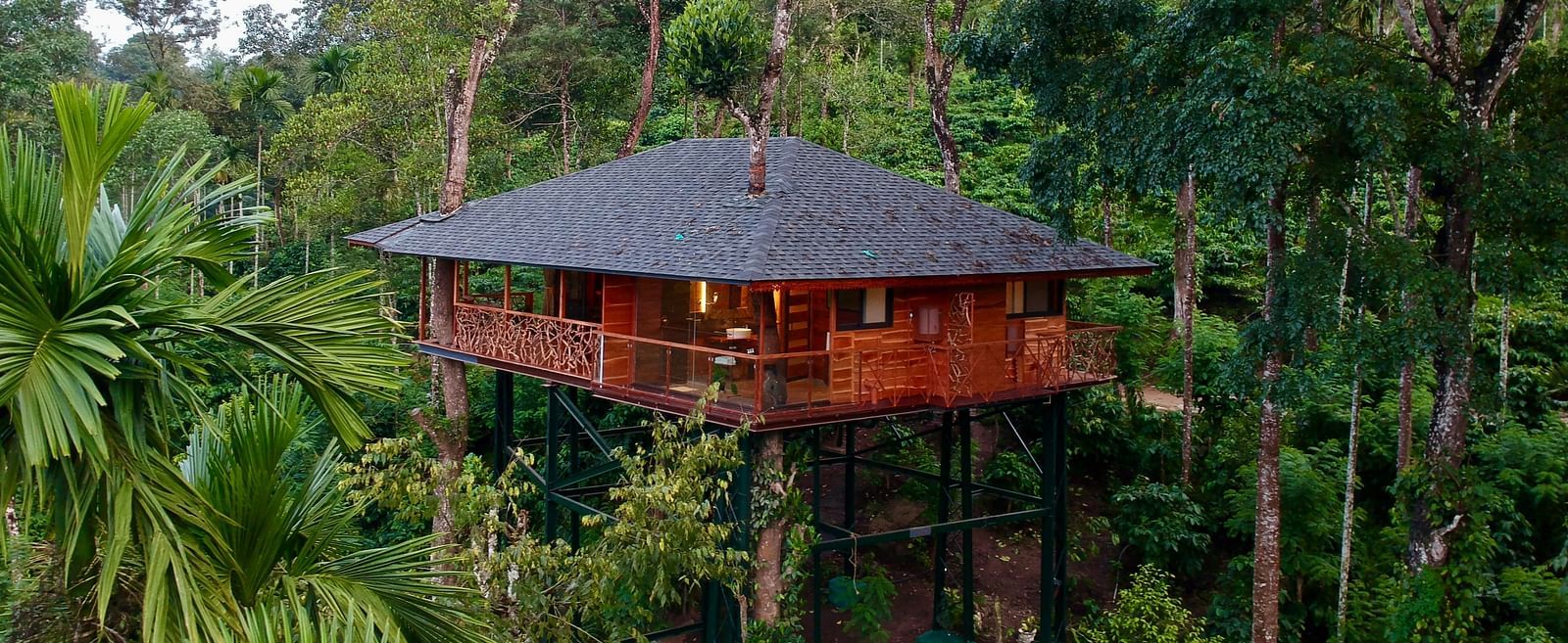 Tree house nestled amongst lush green foliage on a hillside - BluSalzz Collection - Tranquil Resort, Wayanad