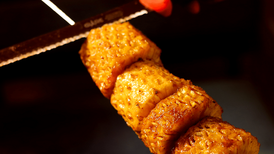 Someone holding skewered cubes of seasoned grilled paneer, with a dramatic lighting and background - Themis Barbecue House, Ambience Mall, Gurugram