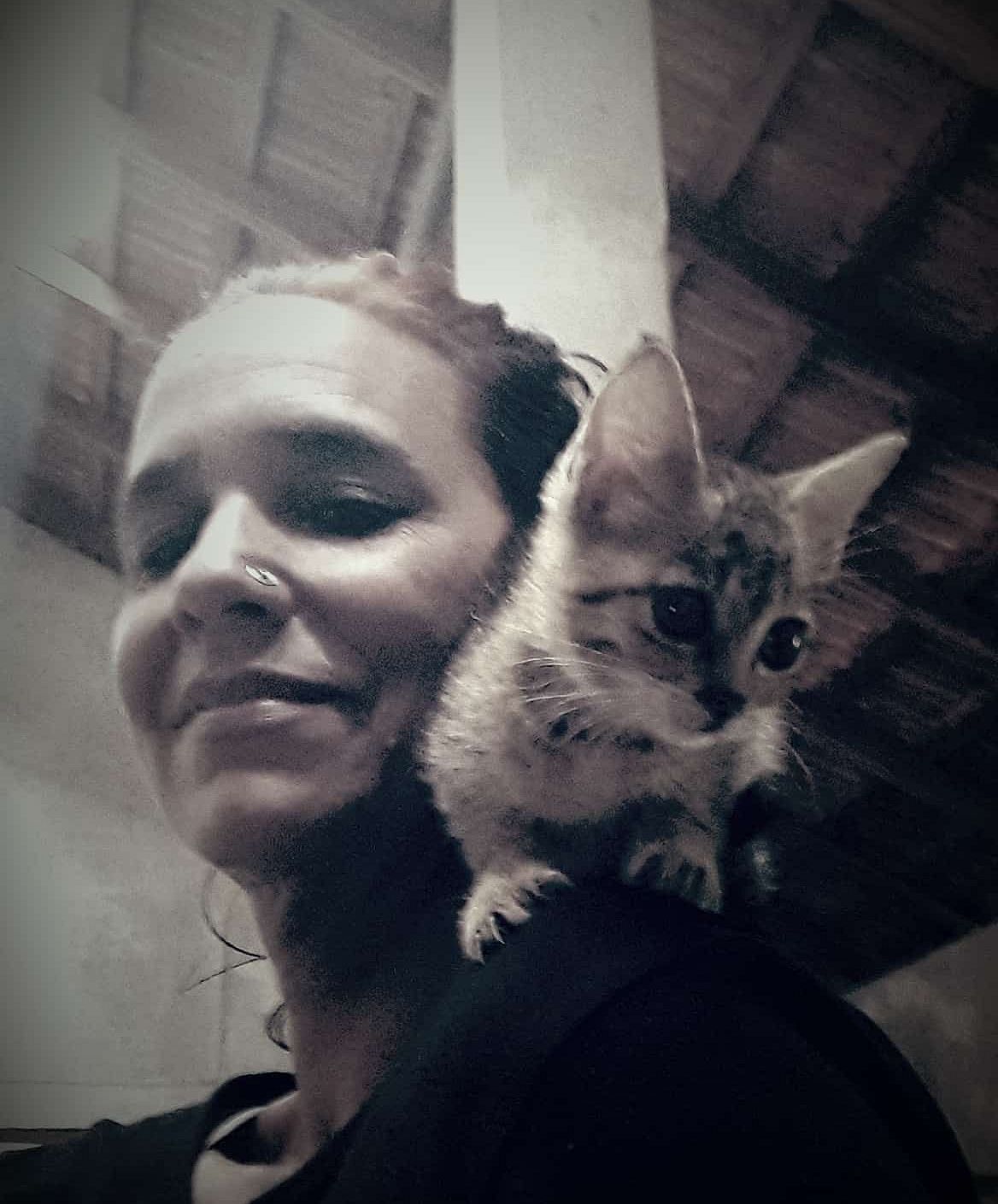 Juli-Cariappa kabini blog author
