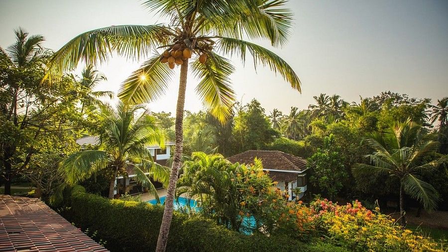 Casa Sea - Vista Villa Hamsa Villas Goa Rooms in Goa 3