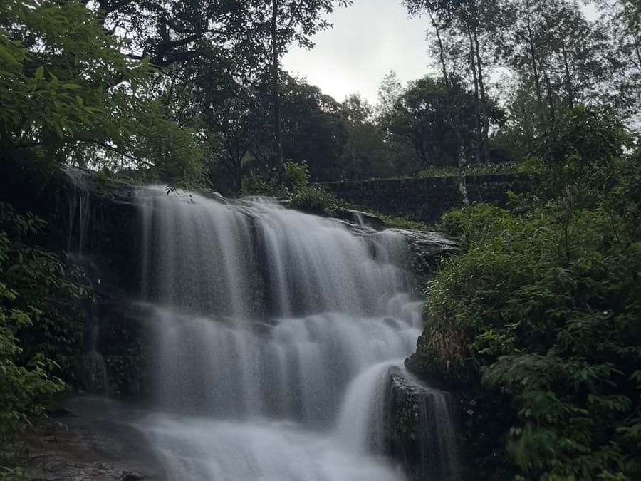 an image of a waterfall cascading down next to greenery