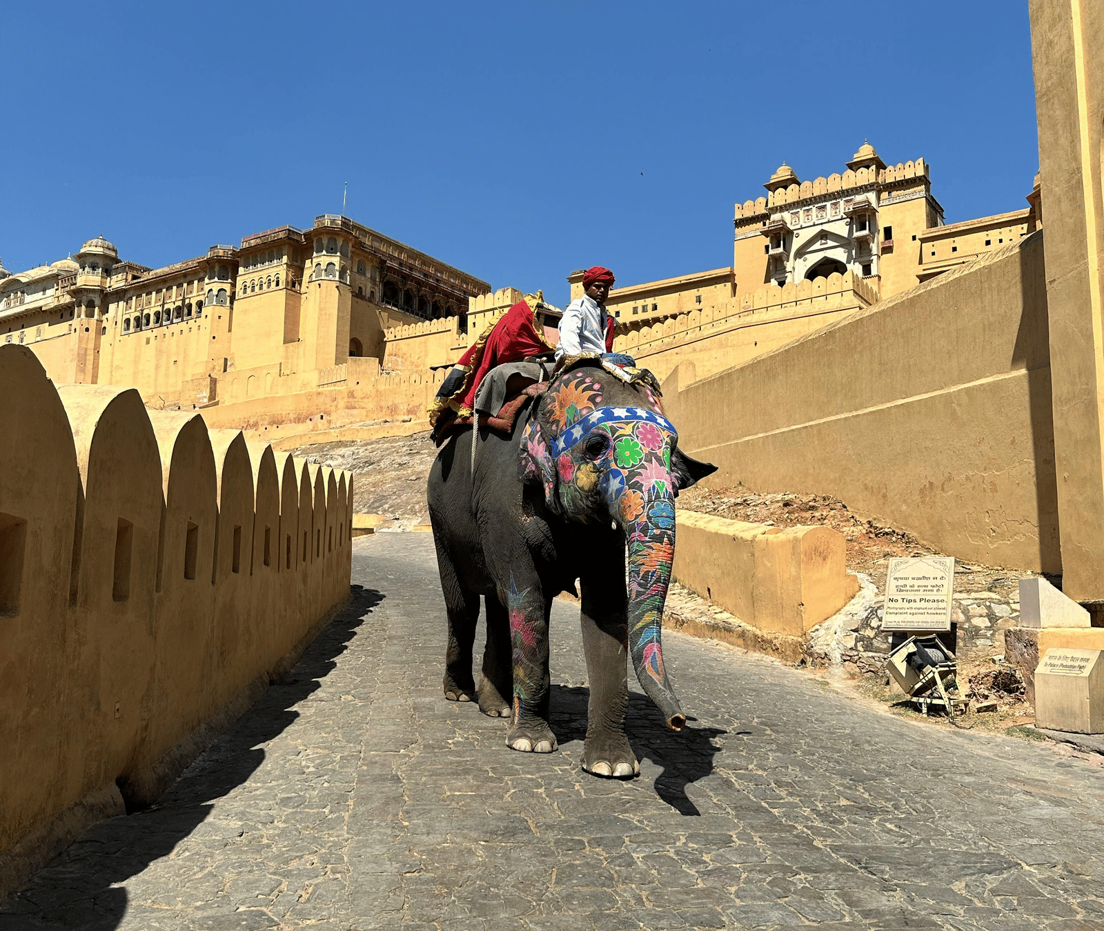 A colourful painted elephant carries riders up a cobbled stone ramp to the Amber Fort, Jaipur, under a blue sky.