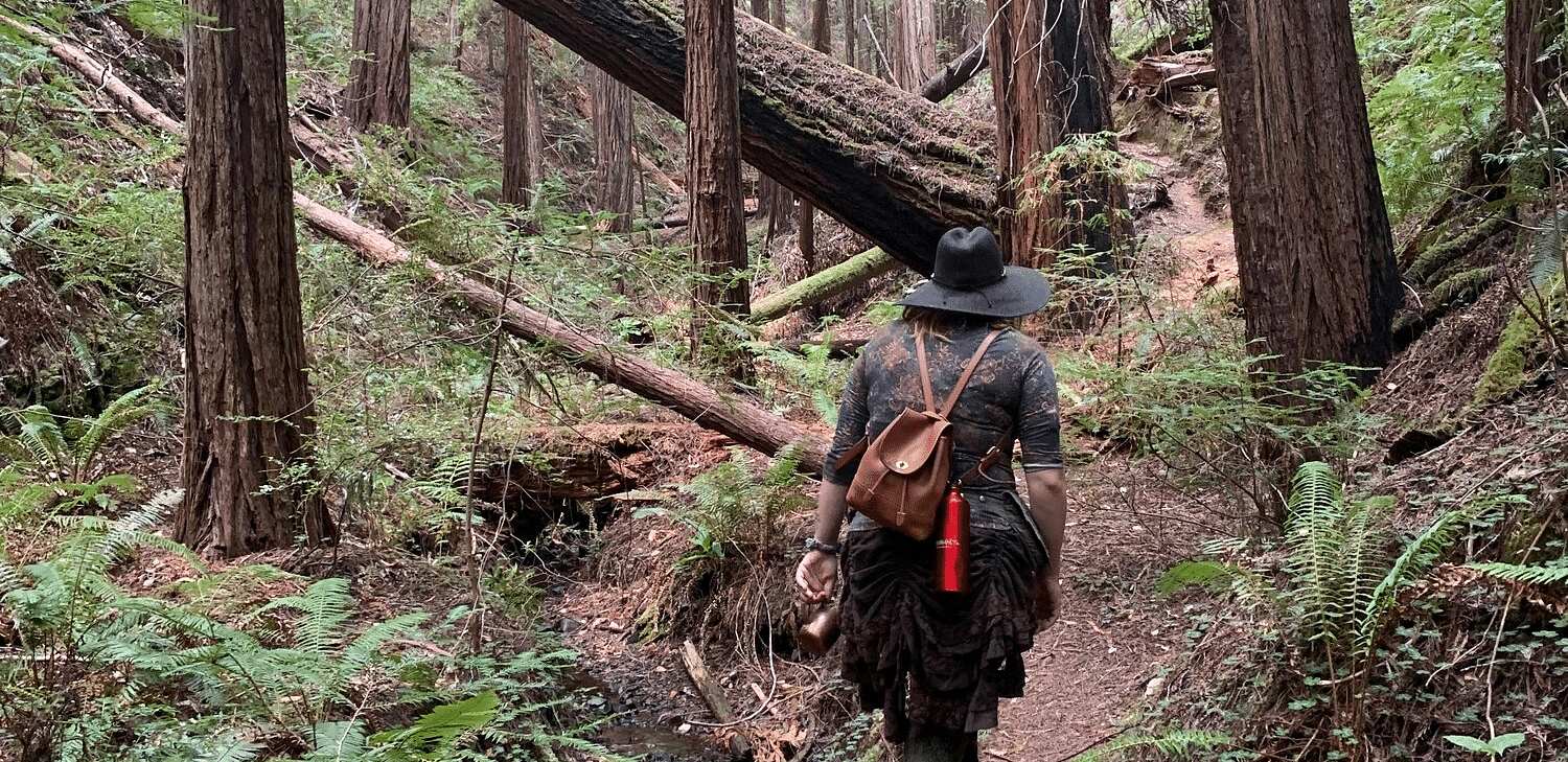 Two hikers navigating a rugged forest trail, surrounded by fallen logs and lush greenery