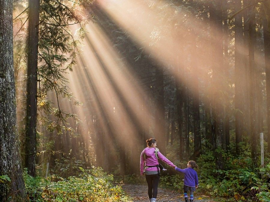 A woman and child walking hand in hand through the woods at sunset, creating a serene and peaceful scene.