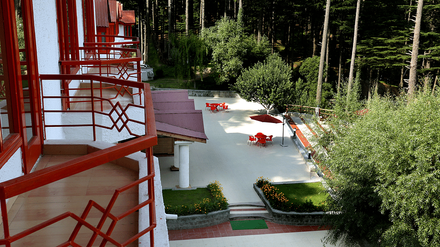 Hotel Samson, Patnitop Patnitop Hotel Samson Patnitop 6