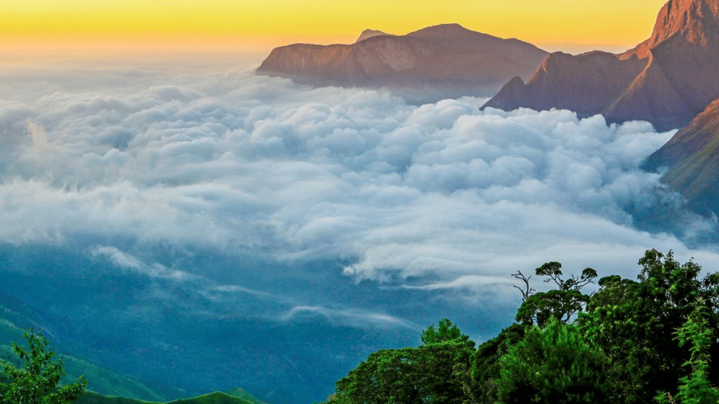 top-station-munnar-tourism-header