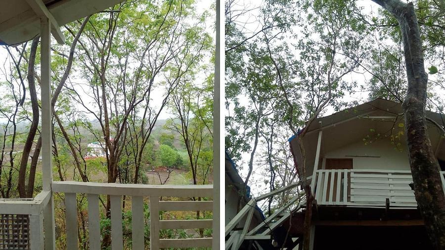 A view of the tree house from the balcony and ground, showcasing its unique two-sided design at VITS Roccia Hill Resort & Adventure Park.