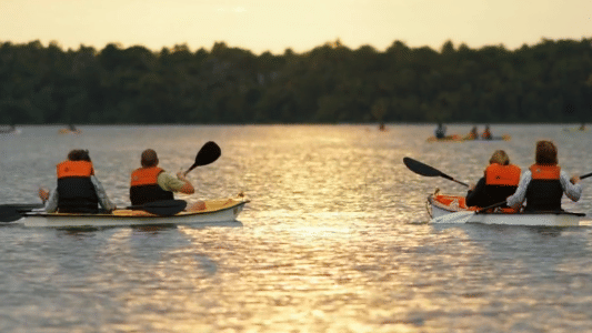 A group kayaking on calm backwaters at sunset, with golden light reflecting off the water and dense greenery in the distance.