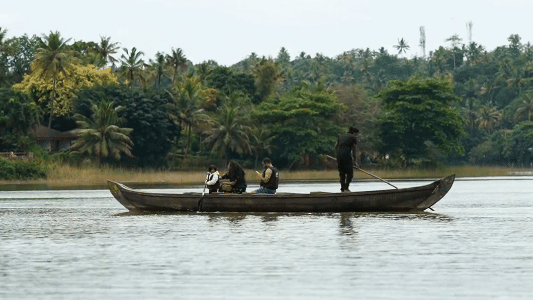 A small wooden boat gliding across quiet backwaters, surrounded by lush green trees and tranquil natural views.