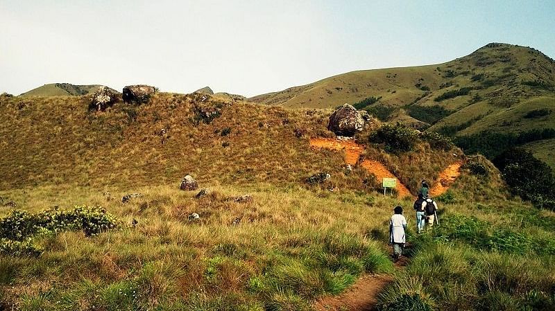 Mukurthi Peak Trek Main