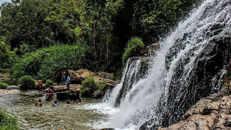 Elk Falls Trek Main
