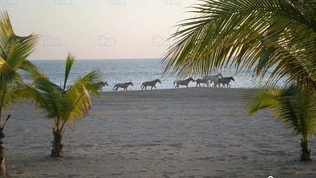 Solana boutique B&B Zihuatanejo Zihuatanejo Mexico 5