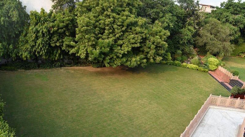 garden1-800x600-800x600