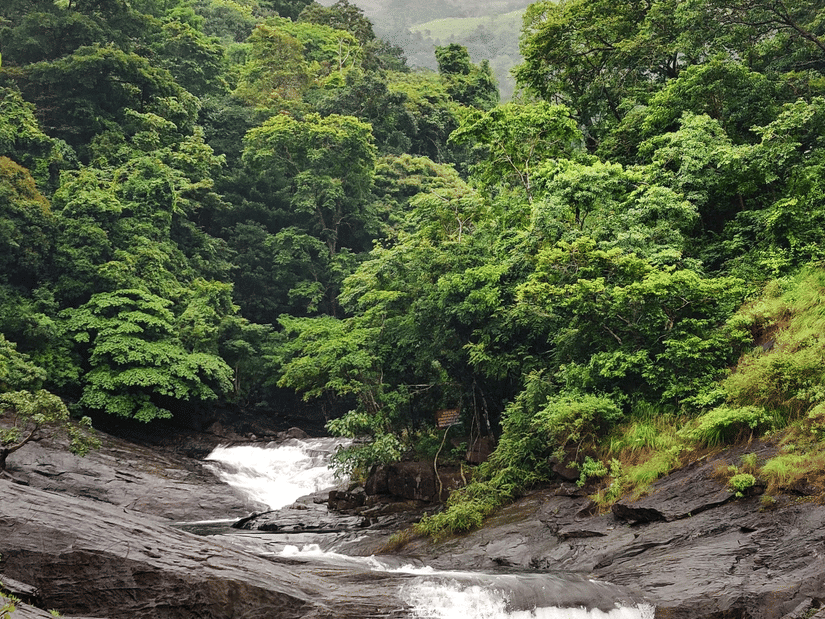 A beautiful cascading waterfall flowing over rocky terrain amidst dense forests and vibrant greenery.