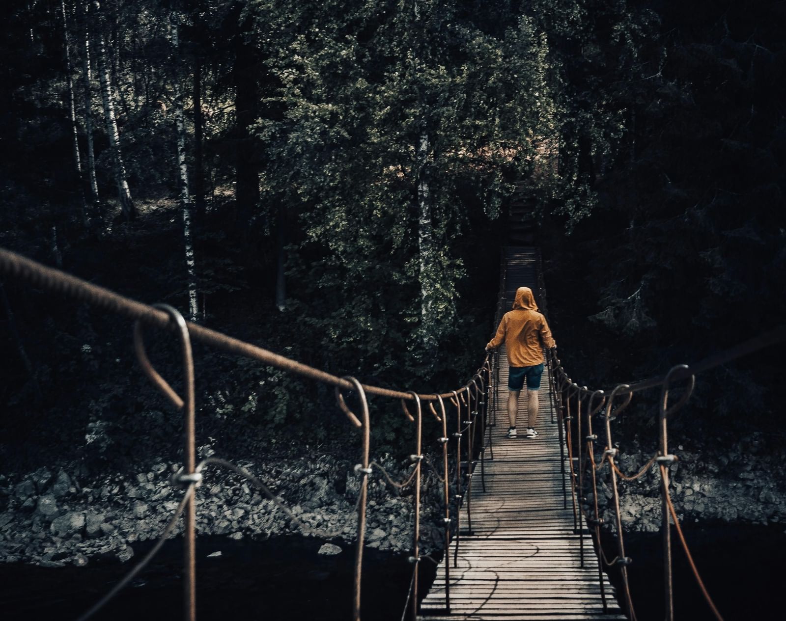 pexels-stan-krotov-191857762-12253292