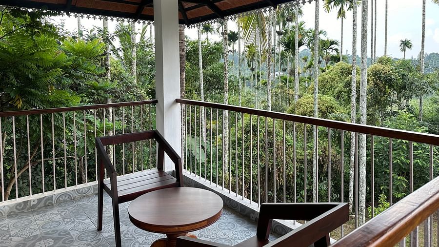Beautiful view from the balcony of Ananda Holiday Home, Wayanad
