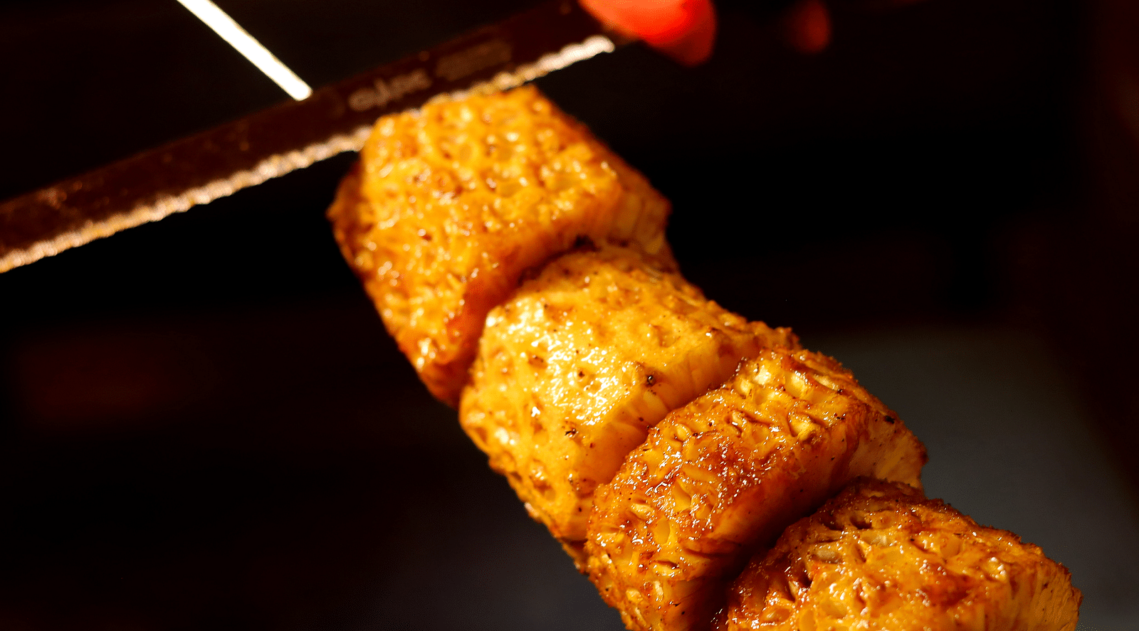 Someone holding skewered cubes of seasoned grilled paneer, with a dramatic lighting and background - Themis Barbecue House, Ambience Mall, Gurugram