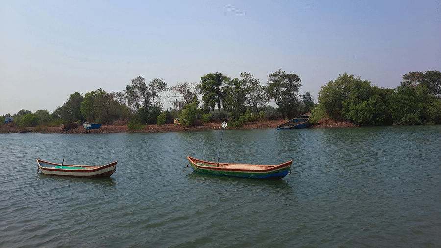A river with traditional wooden boats floating on it