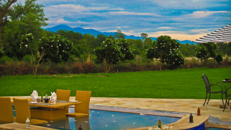 Water Dining at The Golden Tusk, Jim Corbett 