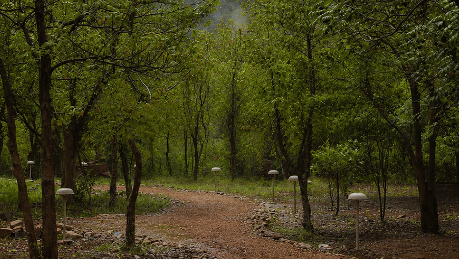 Property Ground and walkways - Surya Bagh-Ajabgarh