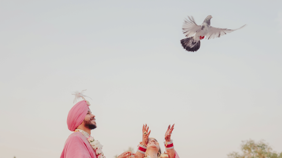 Jaimala-Jaswinder and Ritika-Destination Wedding Near Jaipur-Umaid Palace - Dausa-24