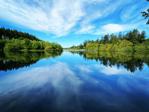 A calm river under a blue sky with white clouds, reflecting the sky and green trees on its banks.