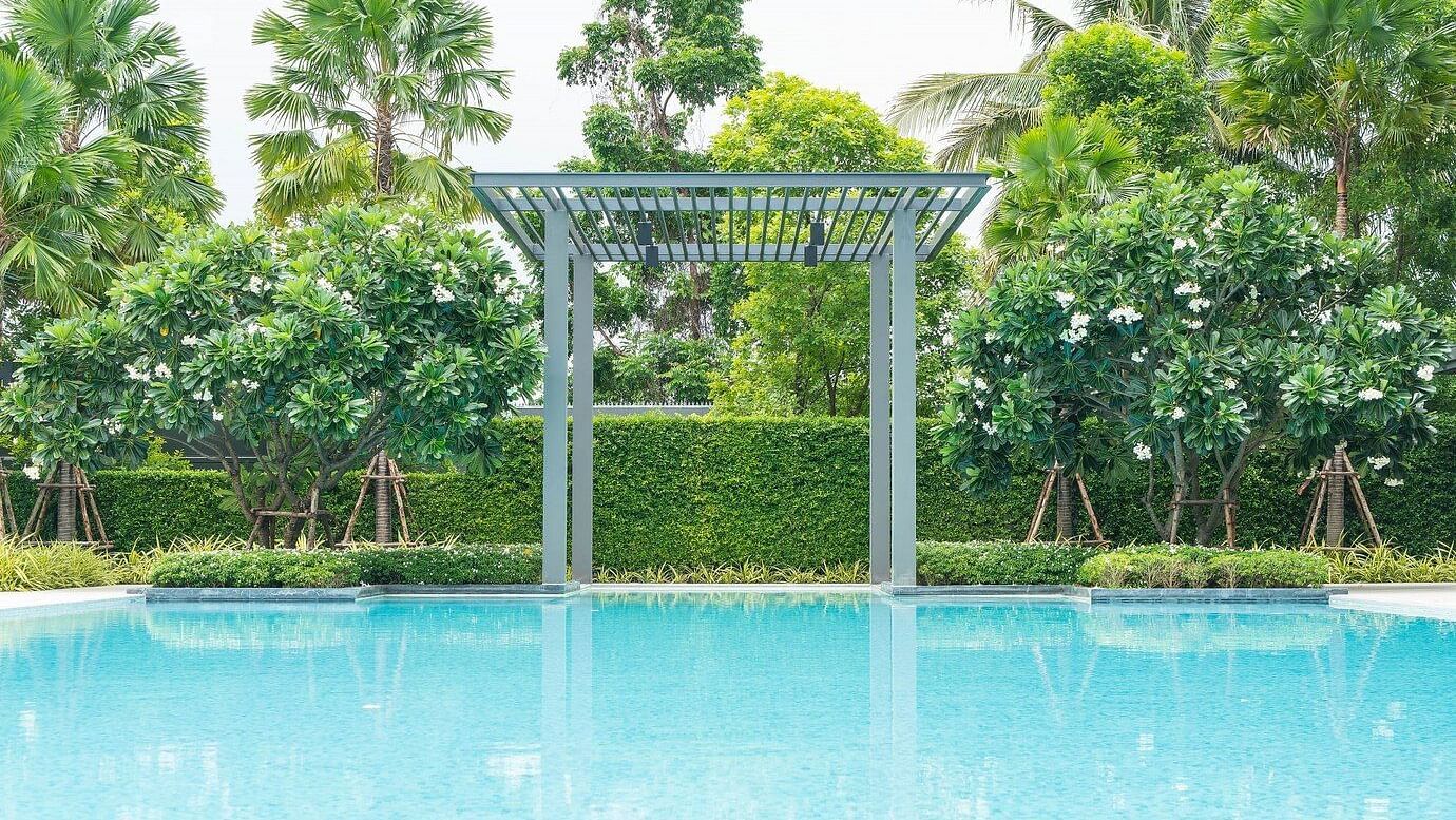 beautiful-luxury-swimming-pool-with-palm-tree 1339-4858