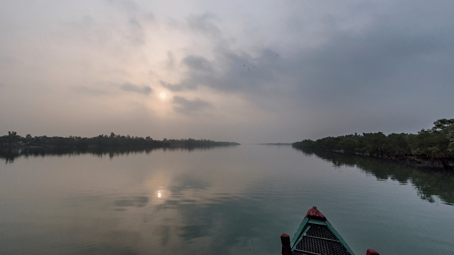 An image of the Sunderbans lake with the backdrop of a clear sky