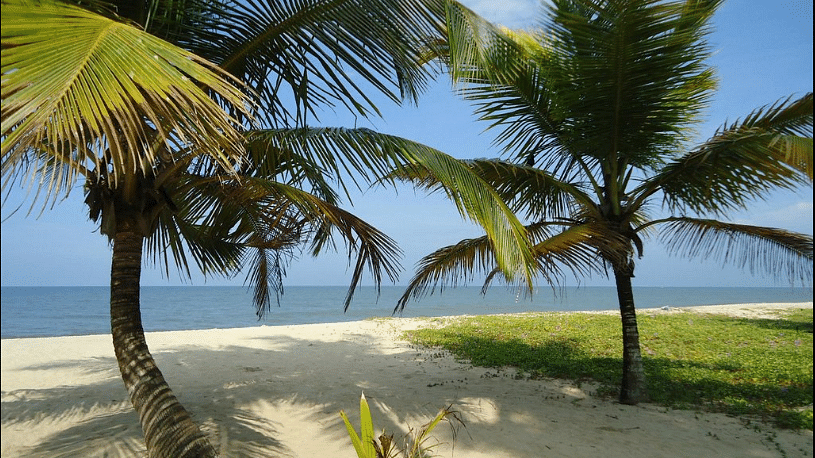 beach 3, Contact Beach Resort in Marari, Beach resorts in Allepey, 4 Star Resorts in Alleppey, Best Beach Resorts in Alleppey, Best Beach Resorts Near Cochin, Beach Resorts in Kerala