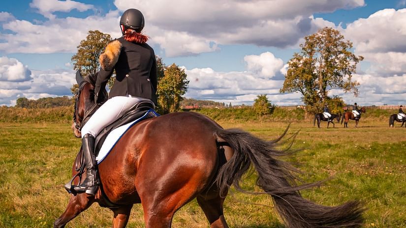 A person riding a brown horse in an open field with a tree in the distance.