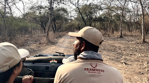 a woman and her tour guide in a jeep viewing viewing the forest